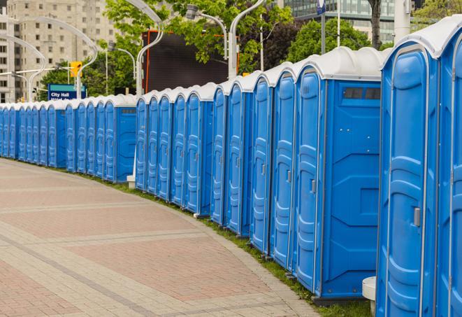 Seasonal porta potty units set up at a Duluth, Minnesota venue